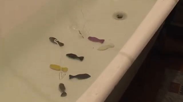 Рыбалка вид спорта смотреть онлайн