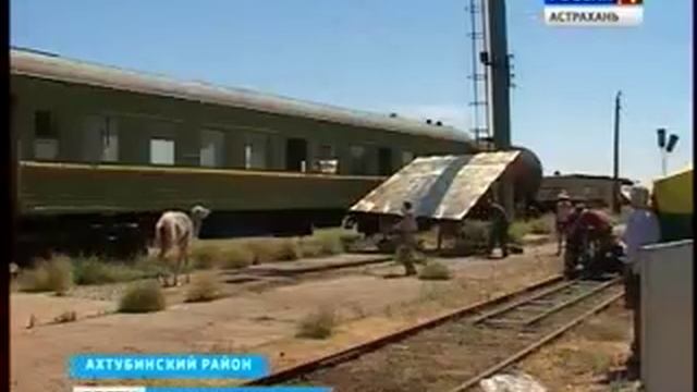 В Астраханской области снимают детскую киноленту "Небесный верблюд" смотреть онлайн