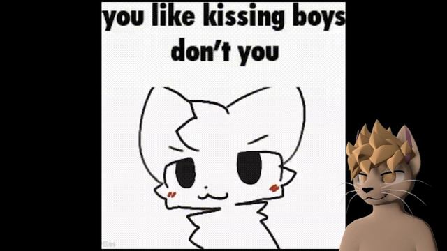 Silly Cat memes in a nutshell... смотреть онлайн