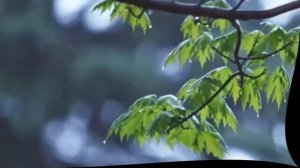 МАНТРА ОТ МИГРЕНИ