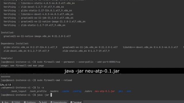 Micronaut 114-[Task] How to run Micronaut Application on OCI Compute Instance смотреть онлайн