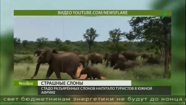 NotaBene 26.02.19 смотреть онлайн