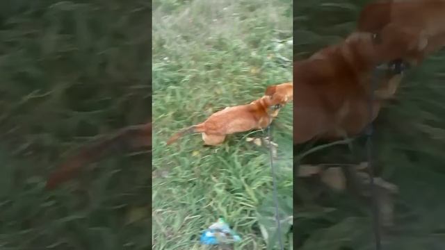 Бесконечный генератор энергии смотреть онлайн