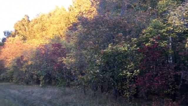 Боровское смотреть онлайн