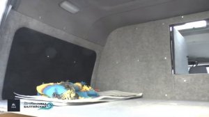 Соболь 4х4. Отзыв владельца. Дмитрий из Кургана