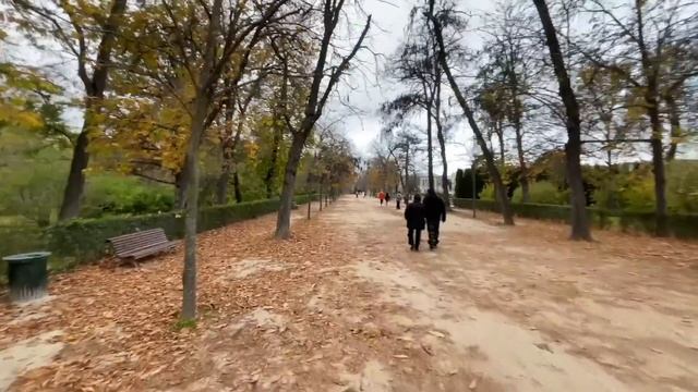 МЕЧТА СБЫЛАСЬ! Мы научились. смотреть онлайн