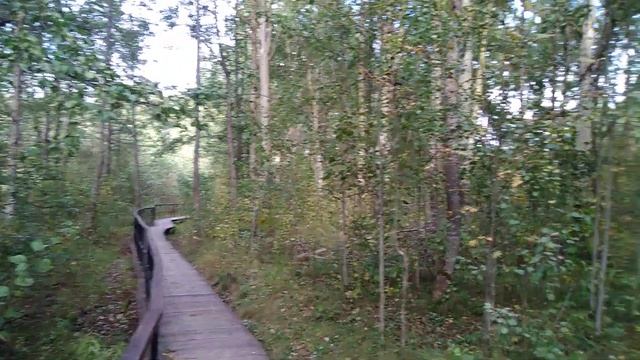 остров Котлин.тишина смотреть онлайн