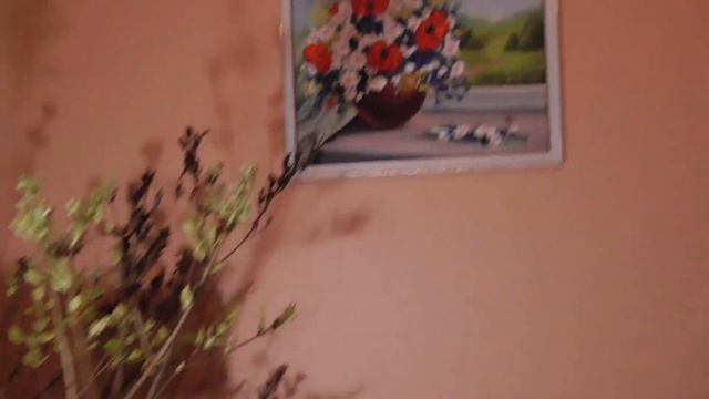 7 ДЕКАБРЬ СИРЕНЬ ЗИМОЙ смотреть онлайн