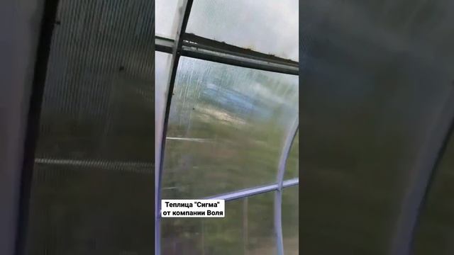 Теплица "Сигма" в Краснодаре #теплица #теплицы #дача #теплицанадаче #грядка смотреть онлайн