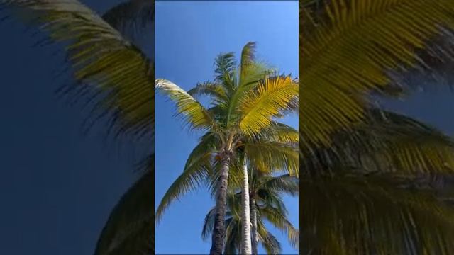 Куба. Cuba. 古巴。 41 смотреть онлайн