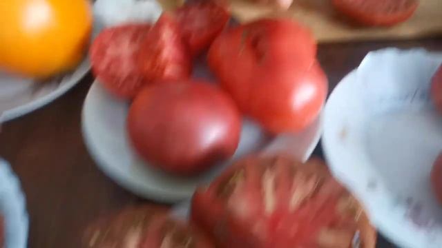 Сорт гном "Борония" с Алтая! Лучший сорт для открытого грунта! смотреть онлайн