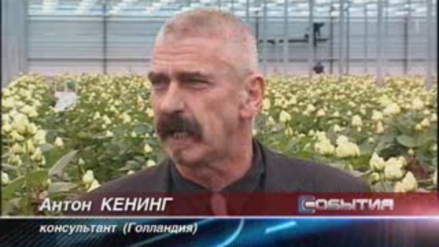 розы смотреть онлайн