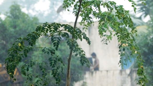 NICON COOLPIX B500 SAMPLE PHOTOS смотреть онлайн