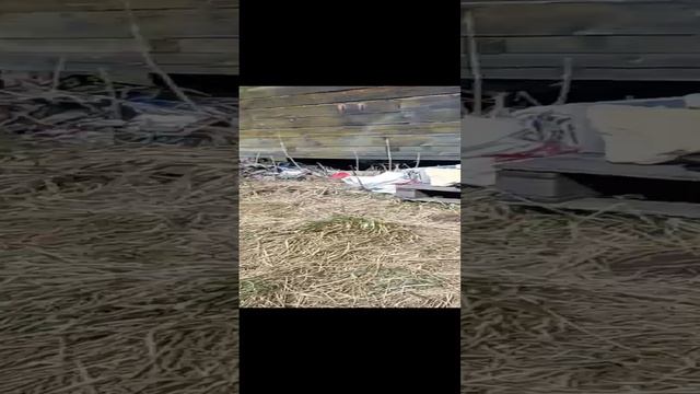 Поработали - отдыхаем)))