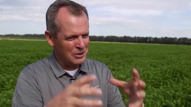 Эфирные масла Doterra. Производство в Болгарии.... смотреть онлайн