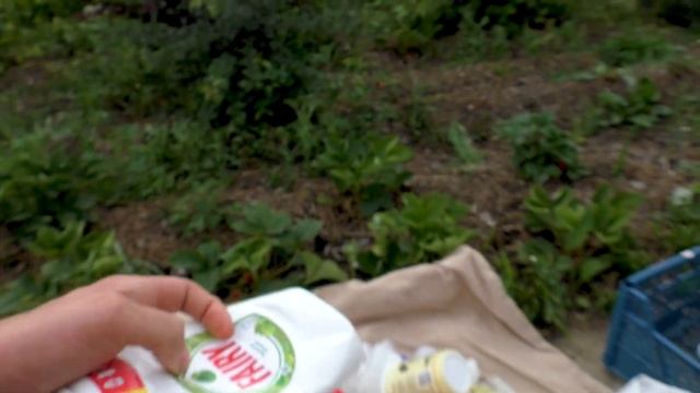 Начали сортировать мусор дома, что с ним делать дальше ♻️ зачем на пластике рисуют треугольники смотреть онлайн