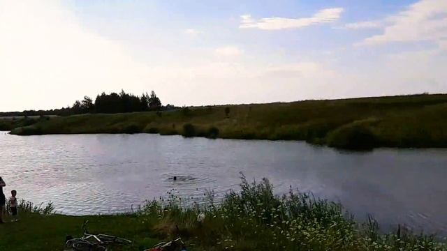Сафари парк, кудыкина гора .дракон на стиле смотреть онлайн