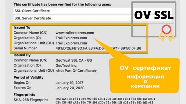 Виды SSL-сертификатов для сайта и их назначение смотреть онлайн