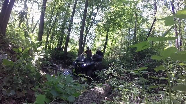 YAMAHA GRizzly)Летний Гряземес) смотреть онлайн