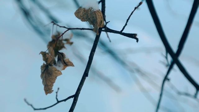 Бисероплетение смотреть онлайн