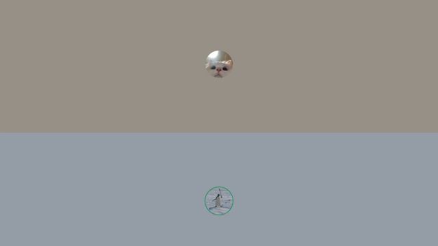 Лекция правило рации госдеп 2 часть смотреть онлайн