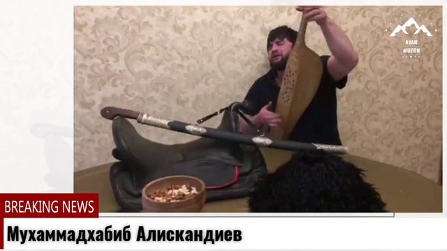 Мухаммадхабиб Алискандиев смотреть онлайн