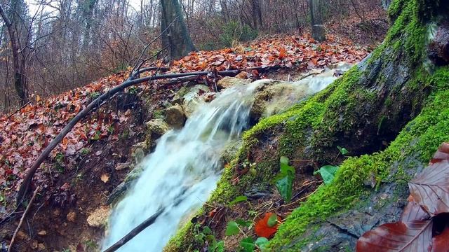 музыка для концентрации внимания смотреть онлайн