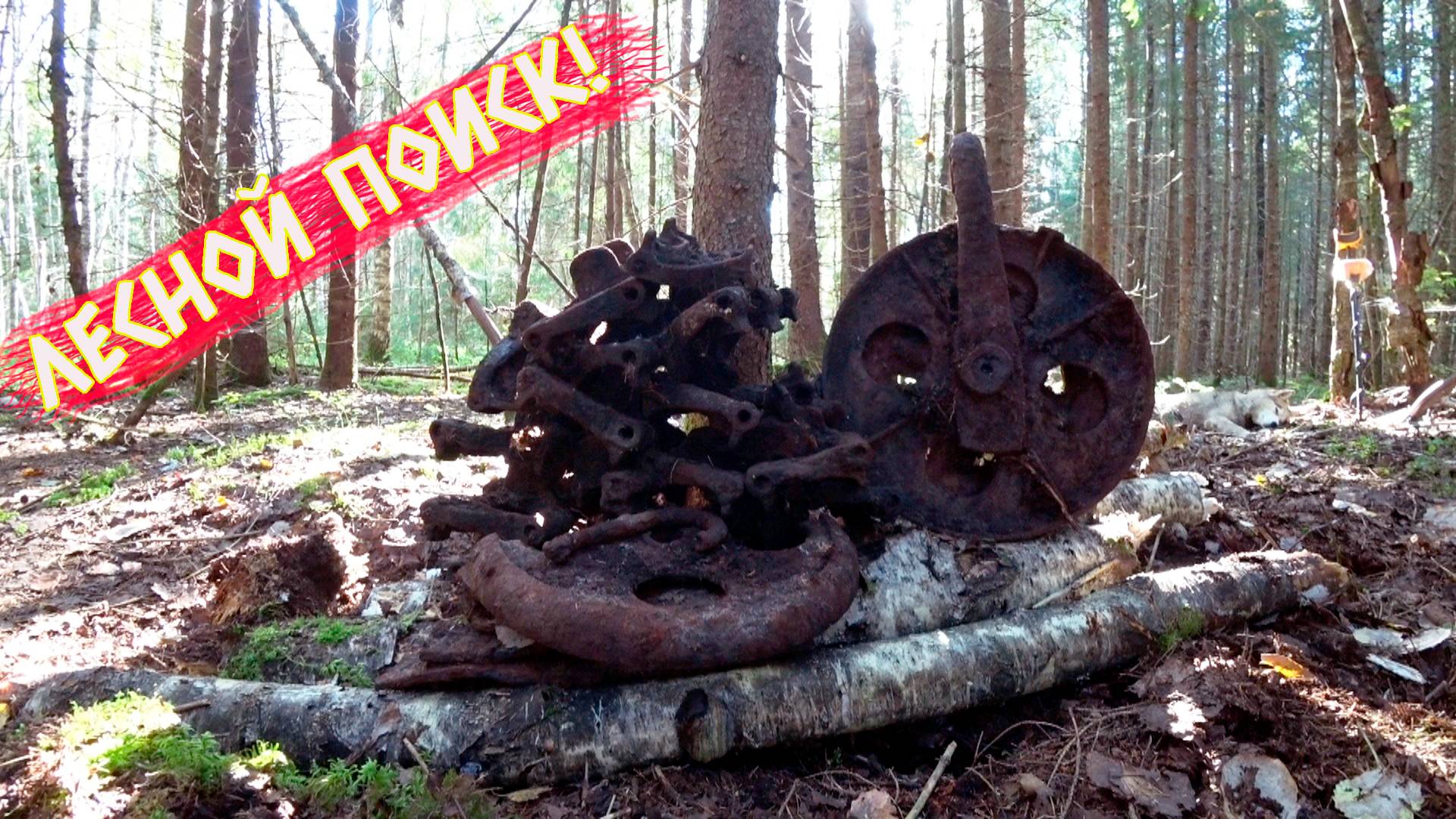 НАШЛИ ПОГРУЗОЧНУЮ ПЛОЩАДКУ ЛЕСОРУБОВ!!! ОТЛИЧНЫЕ НАХОДКИ В ЛЕСНОЙ ГЛУШИ! смотреть онлайн