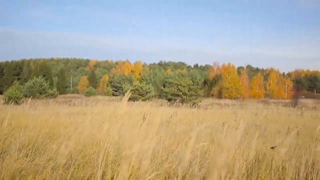 Маршрут Вокруг Плещеева озера - Тропою контрастов (Автор Ксения Саморукова) смотреть онлайн