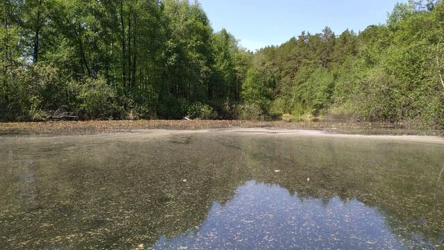 Плывем на лодке по озеру вдоль берега. смотреть онлайн