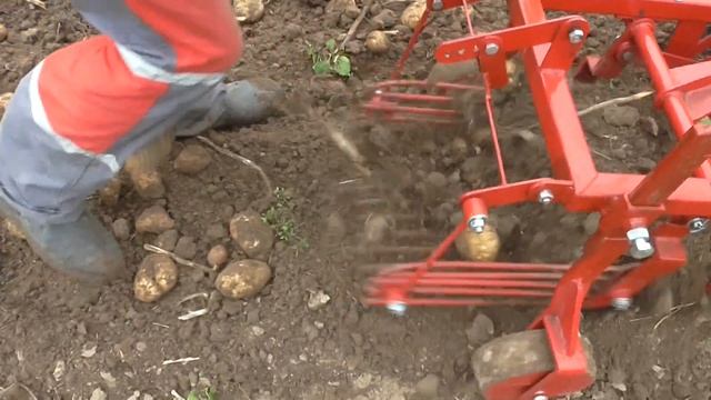 Картофеле копалка КФТ-2 , мотоблок АГРО.