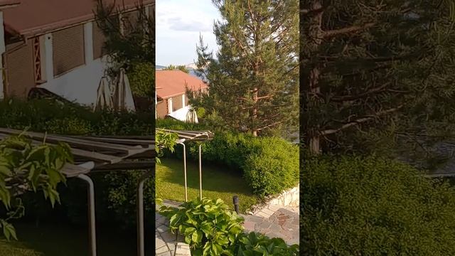 Парк Отель. уд.Комзина, дом 6. г.Тольятти. 17 мая 2023 г смотреть онлайн