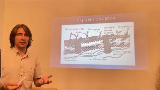 1. Молекулярная физиология - Введение. Строение клетки смотреть онлайн