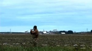 Манок на белолобого гуся БГ-01