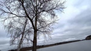 Продажа Dodge Caliber 2008г. Честный обзор от собственника