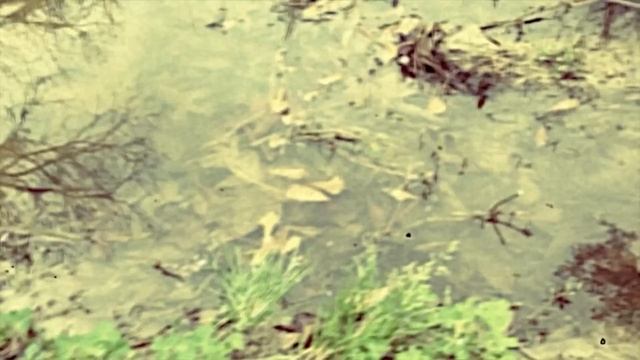 $UICIDEBOY$ - PONTIAC $UNFIRE смотреть онлайн