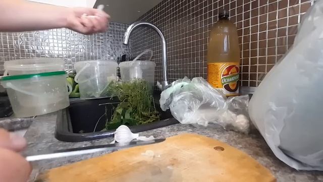 БОЧКОВЫЕ ОГУРЦЫ ХОЛОДНЫМ ПОСОЛОМ НА ЗИМУ САМЫЙ БЫСТРЫЙ РЕЦЕПТ ХРУСТЯЩИХ ОГУРЧИКОВ смотреть онлайн