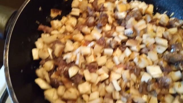 Животные в Зоопарках