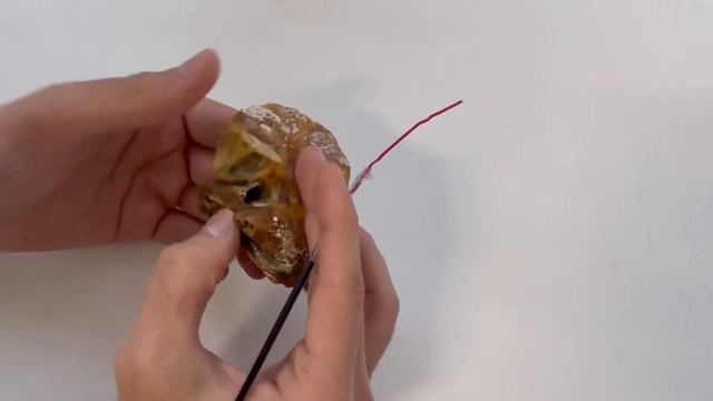 Каналы височной кости смотреть онлайн