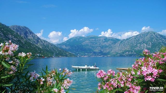 5. Аудио урок для взрослых автоматизации звука Л. смотреть онлайн