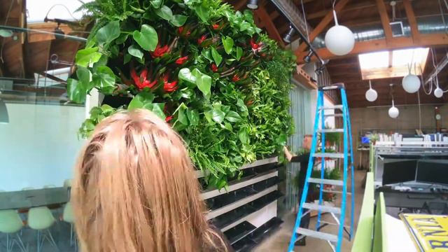 Living Wall Time Lapse by Planted Design смотреть онлайн