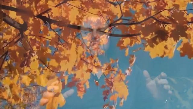 Пол-осени прошло. ВЛадиМир Чиж. #стих#стихи#познание смотреть онлайн