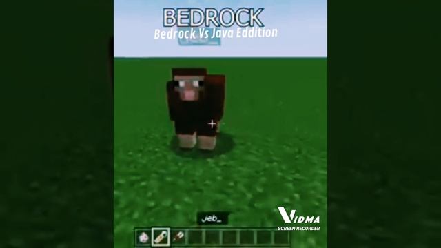 Bedrock Vs Java Eddition #subscribe #like #support #likeshareandsubscribe please support смотреть онлайн