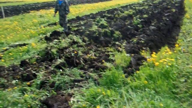 Тренеровка перед конкурсом смотреть онлайн