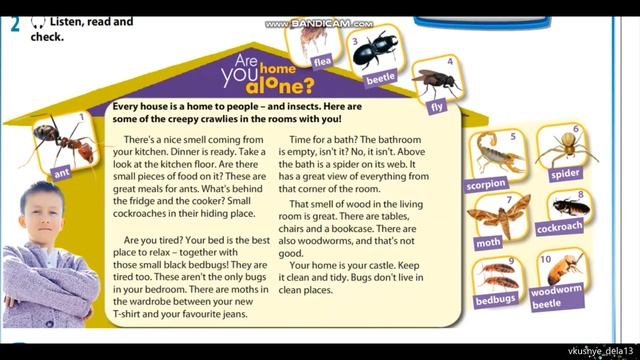 The 5th grade. Reading: Are you home alone? смотреть онлайн