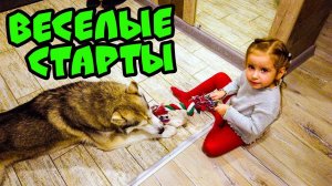 ВЕСЁЛЫЕ СТАРТЫ (Хаски Бублик) Говорящая собака