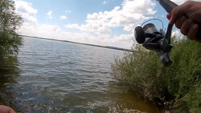 В погоне за АТОМНОЙ рыбкой! Ловлю диких сазанов на пруду-охладителе АЭС! смотреть онлайн
