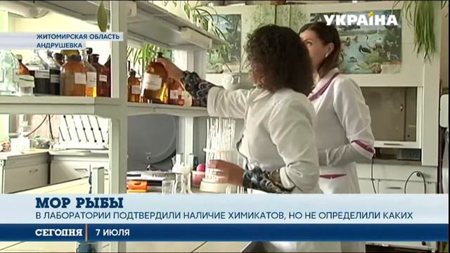 Стала известна причина массового мора рыбы в реке Гуйва смотреть онлайн