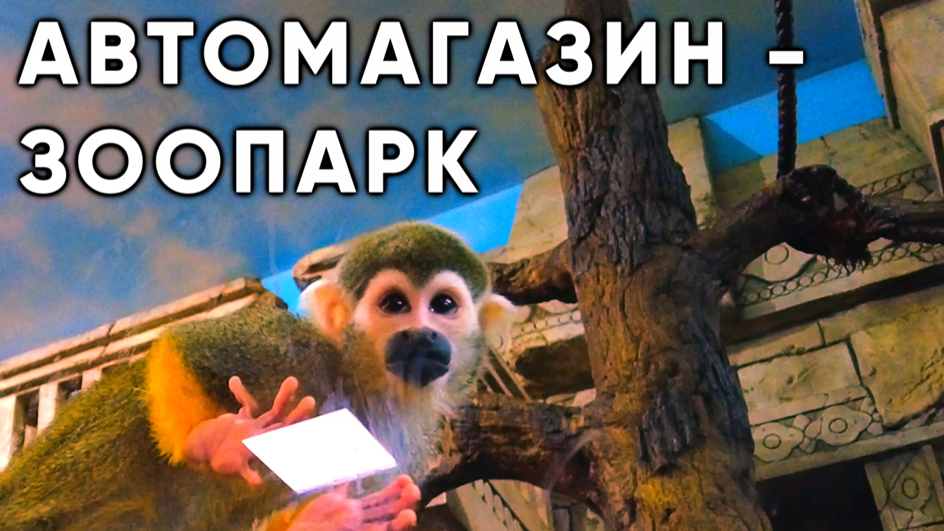 Автомагазин — ЗООПАРК или ЗООПАРК — автомагазин... смотреть онлайн