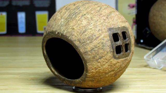 КАК СДЕЛАТЬ ДОМИК ДЛЯ #ХОМЯКОВ смотреть онлайн